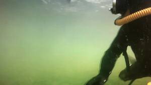 Diving Bear Porn - Scuba bear - ThisVid.com