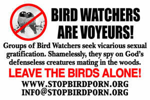Bird Porn - Stop Bird Porn