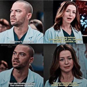 Amelia Greys Anatomy Porn - 14.01. Greys AnatomyGrey ...