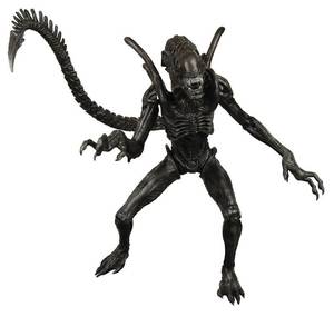 Alien Vs Predator Requiem Porn - The Xenomorph action figure from Alien Vs Predator - Requiem
