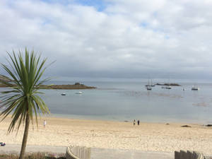 Fog Bank Porn Wendy - Since Copenhagen I have not been anywhere, apart from a spell in hospital  with a high temperature when I got back. After several years of thinking  about ...