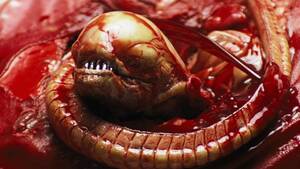 Alien Chestburster Porn - Alien's Chestburster Sequence: The Inside Story Behind One Of Cinema's Most  Shocking Scenes | Movies | %%channel_name%%