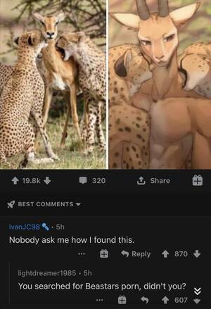 Furry Porn African Impala - Cursed searching : r/cursedcomments