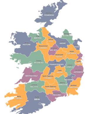 Irish Porn Sites - Ireland's most searched porn categories by county are interesting, to say  the least | IMAGE.ie