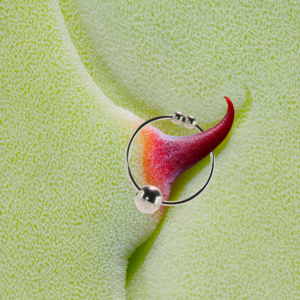 Lesbian Bondage Forced Captions - 15 Best Nipple Clamps of 2024 - How to Use Nipple Clamps