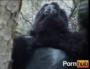 barnyard perversions - Barnyard Perversions - Scene 3 : XXXBunker.com Porn Tube