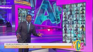 Americas Funniest Home Videos Porn - America's Funniest Home Videos\