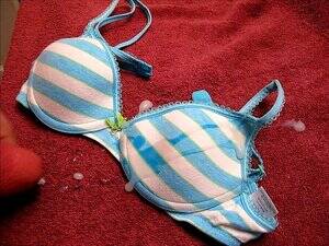 bra cumshot porn - Bra Cum porn videos at Xecce.com