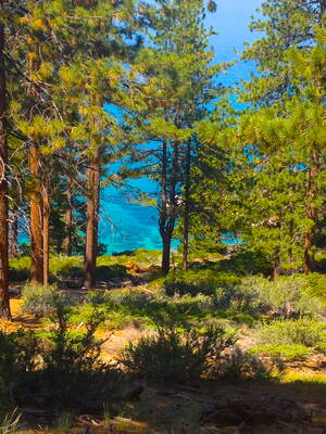 icdn nudist nude - Cheeks 'n' Chodes â€“ AdventuresOfTheRattyPack