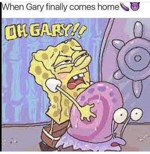 Fucking My Cat Porn - \