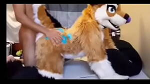 Furries Fucking Porn - Furry Fucking Porn Videos - fuqqt.com