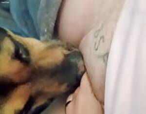 Big Clit Sucking - Big clit gets sucked - Extreme Porn Video - LuxureTV