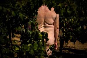 Homemade Amateur Porn Nudist Camp - Nudist farm where you can hike, swim and eat naked dubbed 'heaven' by  naturists - Daily Star