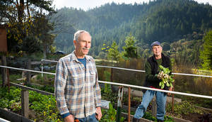 Gta 3 Misty Porn - Organic Famers Nikki Ausschnitt and Steve Krieg in their garden