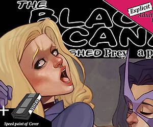 Black Canary Porn Parody - Black Canary : Ravished Prey #2 Porn parody comic