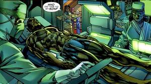 black panther cartoon porn - Dark Reign: Black Panther not only features T'Challa in his underwaer, but  also has Namor, The Sub-Mariner on the cover in his classic (and best)  costume!