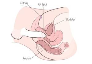 fingering g spot - How To Find Your G Spot Easily & Quickly