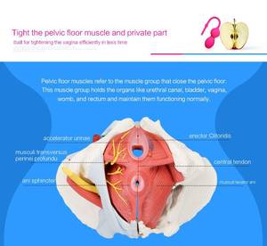 Funny Porn Certificates - funny creative gifts chinese porn Hot new products for 2016