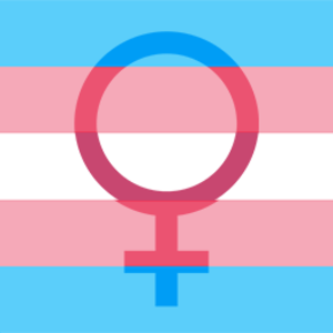 i am a shemale - I am MTF but sometimes I like watching shemale porn, is there anything  wrong with me? : r/MtF