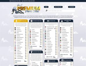 Best Porn On The Web - Best Premium Porn Sites - Babepedia Blog