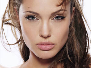 Large Pussy Angelina Jolie Lips - angelina jolie hot sexy pics