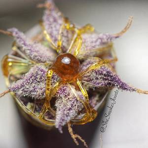 Cannabis - #cannabis #cannabisphotography #420photography