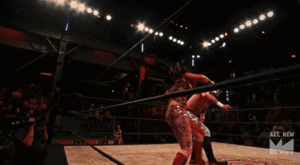 Candice Michelle Lesbian Porn - Diva Dirt