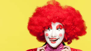 Female Clown Porn - According to the San Francisco Weekly, Hollie Stevens (who the article dubs  a \