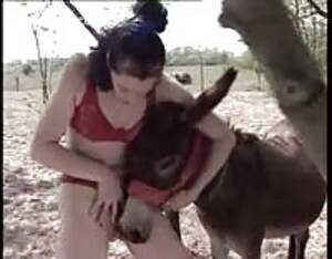 Donkey Fucking Girl Porn - Donkey fucking women - Extreme Porn Video - LuxureTV