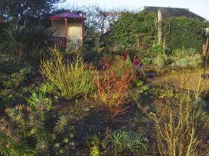 Honey Garden Porn - Defeating Dementia one step at a time. Find this Pin and more on garden porn  ...