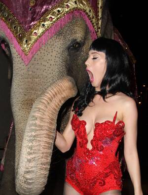 Katy Perry Bondage Porn - PsBattle: Katy Perry and an elephant : r/photoshopbattles