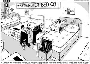 daily sex cartoons - 18406322-Mac Cartoon for the Daily Mail December 11, 2009. Caption: ?. . .  and at the touch of a button, sir, you get a pop-up sex doll, four porn  videos, a TV