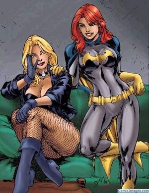 Black Canary Comics Sex Porn - Black Canary & Batgirl