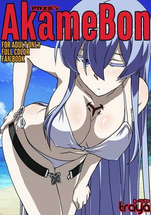 akame ga kill hentai huge boobs - TraYA Akamebon (Akame ga Kill!) English hentai porn