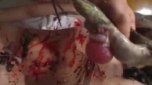 Frog In Pussy - Frog Animal Porn