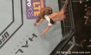 Alexander Gustafsson Porn - mma-core: Daniel Cormier Slams Alexander Gustafsson in UFC 192 more fights:  http://mma-core.com/s/v/UFC_192_Fights Tumblr Porn