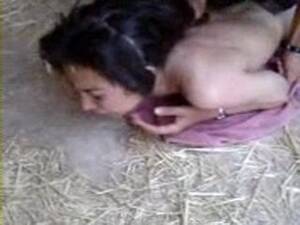 anal arab girl - Arab Girl Fucked In Ass For The First Time In the Stable - NonkTube.com