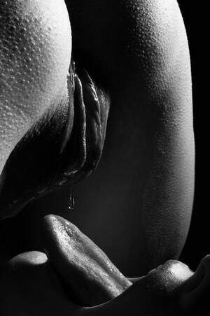 black white cunnilingus - Black Cunnilingus - 79 porn photos