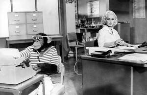 1960s Sexpots - Sex Kittens Go to College (1960) - Turner Classic Movies