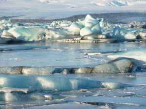 Fog Bank Porn Wendy - IMG_1805 P1030326