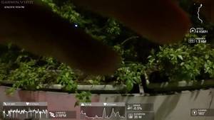 Chinese Prostitute Dj Porn - Great night, Chinese prostitutes, mcdonalds, bike accessories, music made  me?