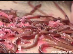 Japanese Worm Porn - Fetish porn video with a wormy Japanese pussy