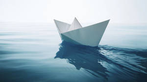 Asian Schoolgirl Shaved Midget Porn - Friday's Show