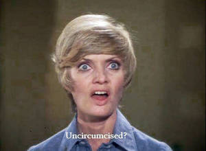 Carol Brady Porn - Tags: 1970â€²s, 2015, Archie, Australia, Brady bunch, Brisbane, Camp, Cinema,  Dining, Drugs, Fair day, Gay, Gold coast, Guys, John Waters, Kings Cross,  ...