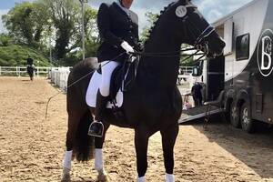 Andrea Cox Porn - Heartbreak of owner whose horse was spooked by Bristolâ€¦