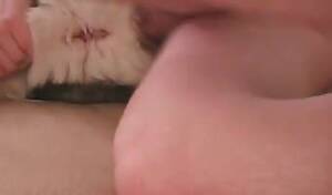 Man Fucks Female Husky - Man Fucks Female Siberian Husky | Sex Pictures Pass