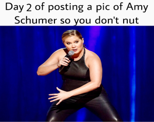 Amy Schumer Pussy - Day 3 People! Stay Strong! : r/memes