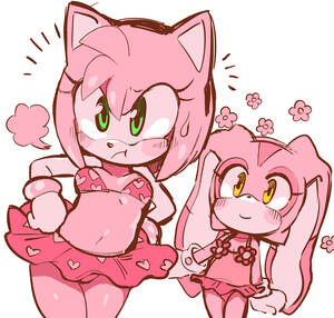Cream The Rabbit And Amy Rose Porn - 55956 - safe, artist:ã‚ªãƒãƒƒã‚µ, amy rose (sonic), cream the rabbit (sonic),  hedgehog, lagomorph, mammal, rabbit, anthro, sega, sonic the hedgehog  (series), 2020, clothes, duo, duo female, female, high res, quills,  swimsuit - Furbooru