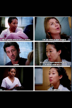 Derek And Meredith Grey Sex - Hahah Cristina always lightens the mood. Grey's Anatomy
