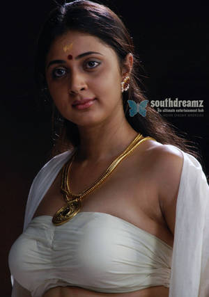 Malayalam Actress Kaniha Porn - hot Sexy actress kanika